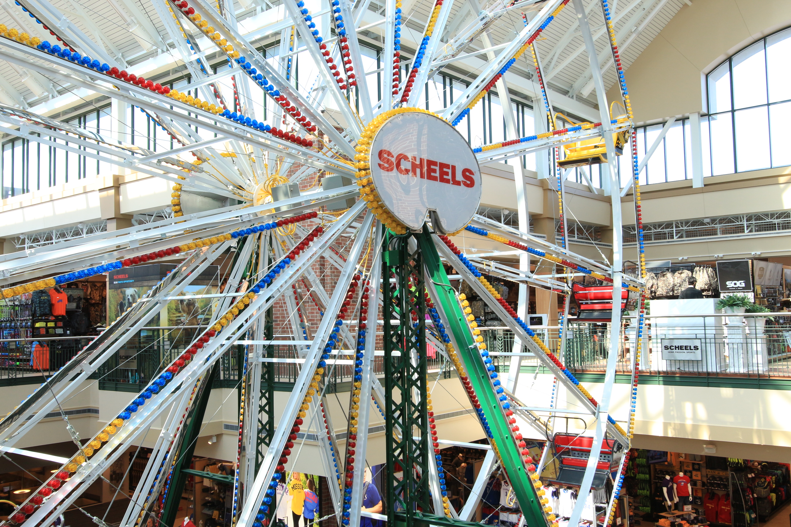Scheels