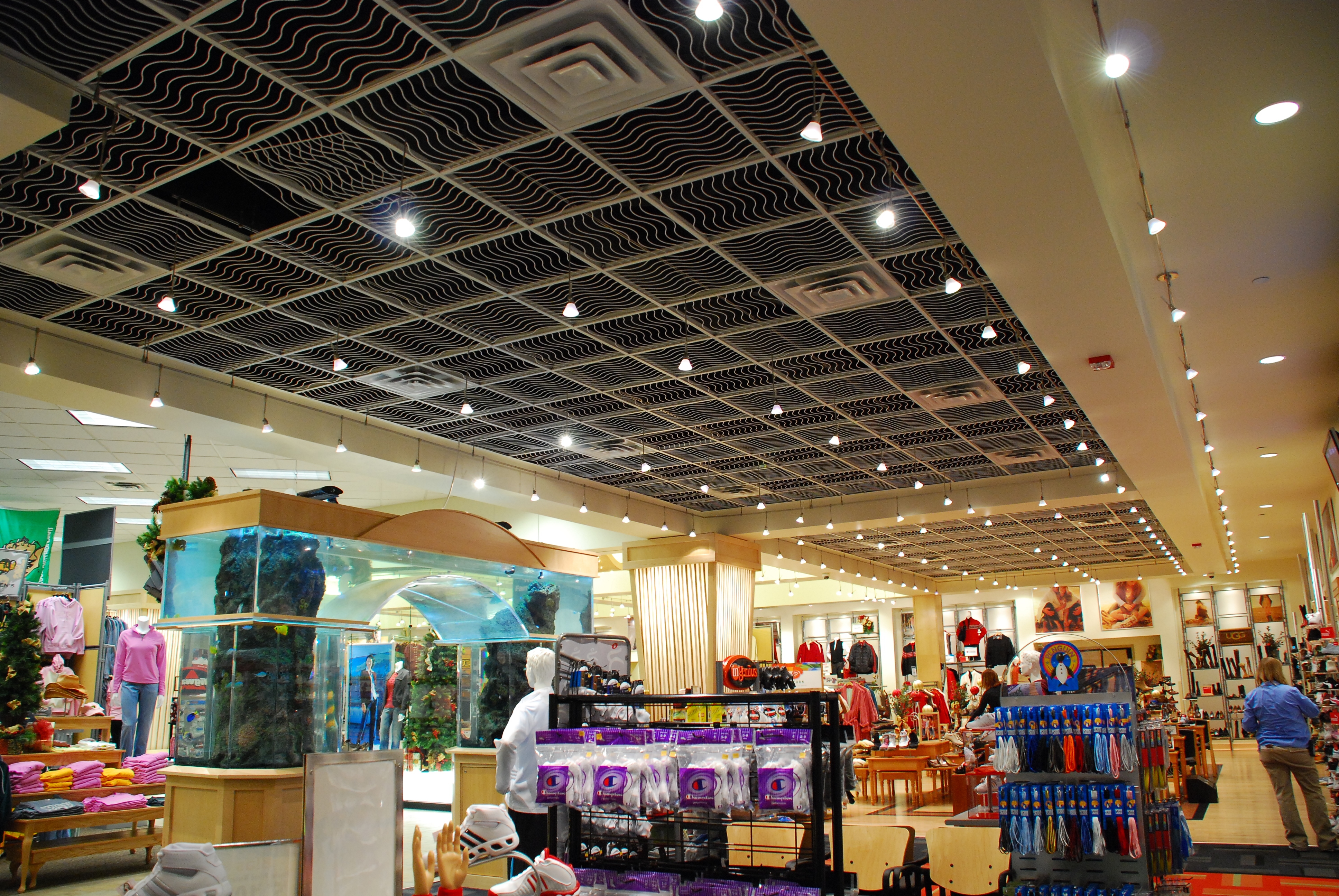 Scheels